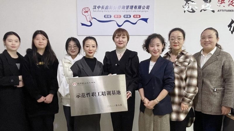 股权动态调整机制：企业发展的关键密码**